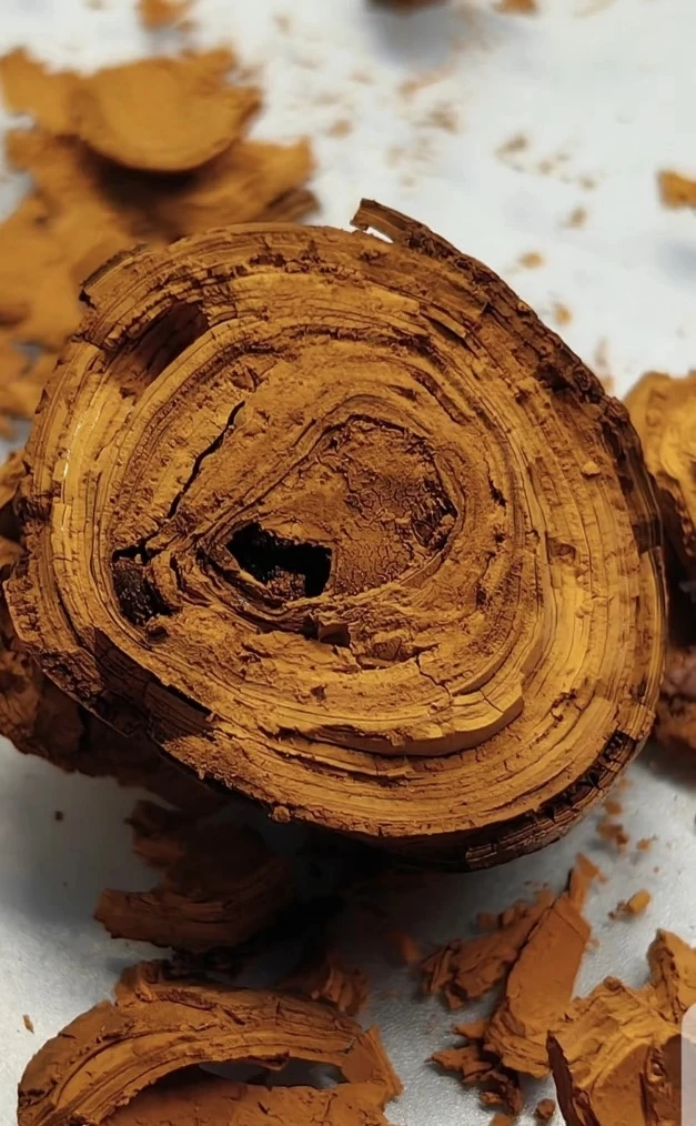 䒜-皇 NH土特产菇