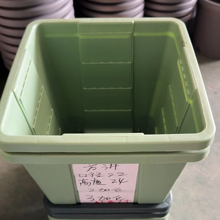 编号303果绿无托6个