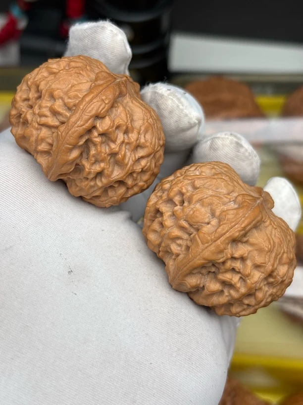 龙眼文玩核桃，全品白茬，边35肚37➕