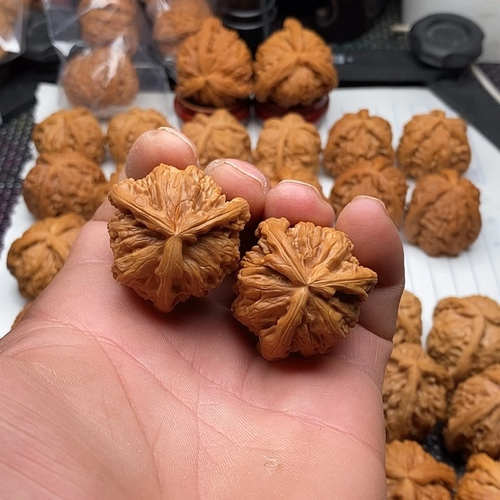 手串/手链核桃拼接白狮子8号