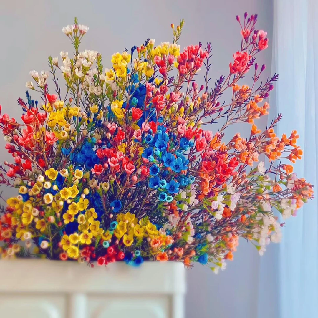 3色混搭腊梅1束高品质腊梅鲜花生活鲜花（今天下单明天到 全场任意两单包邮到家）