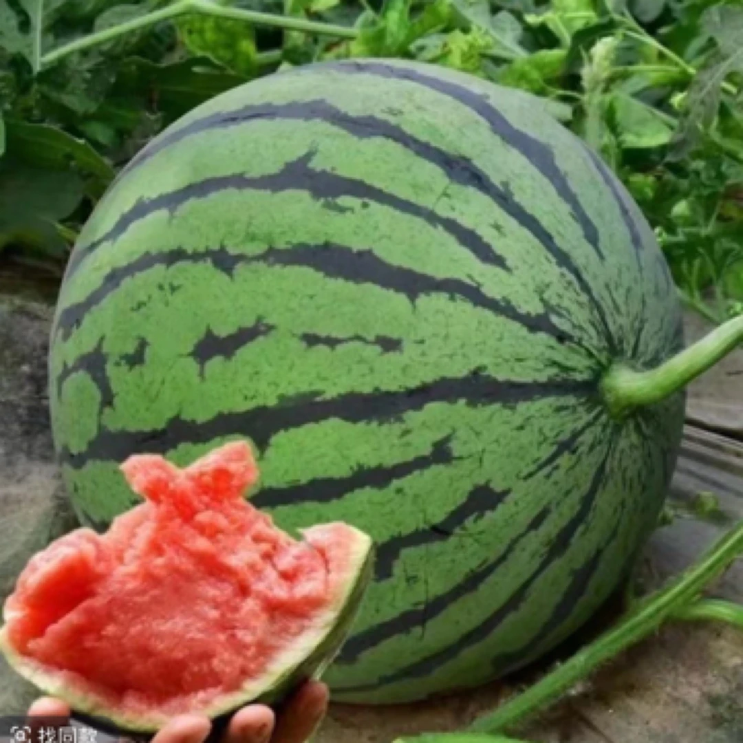 拼盘（西瓜➕菠萝➕蜜瓜）（9.9一盒）西瓜同城配海南省