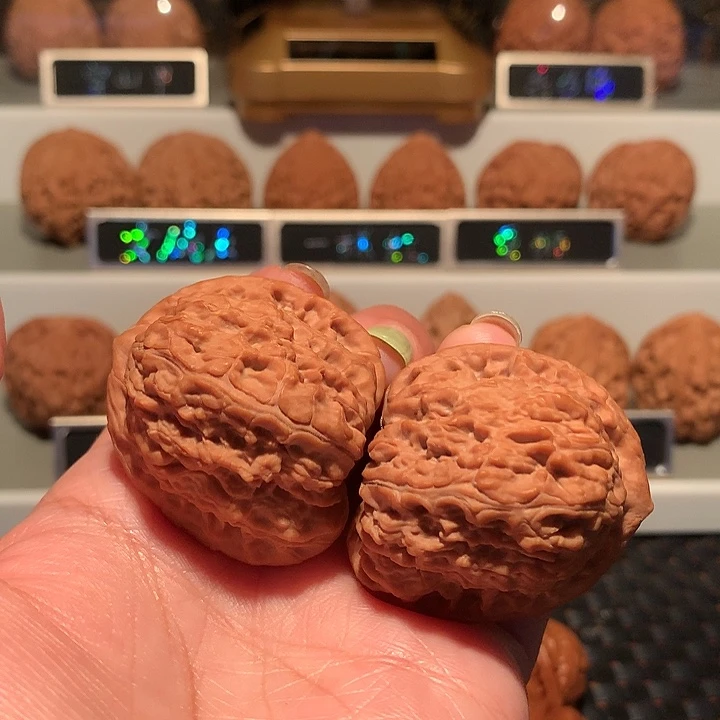 文玩核桃把件宽城