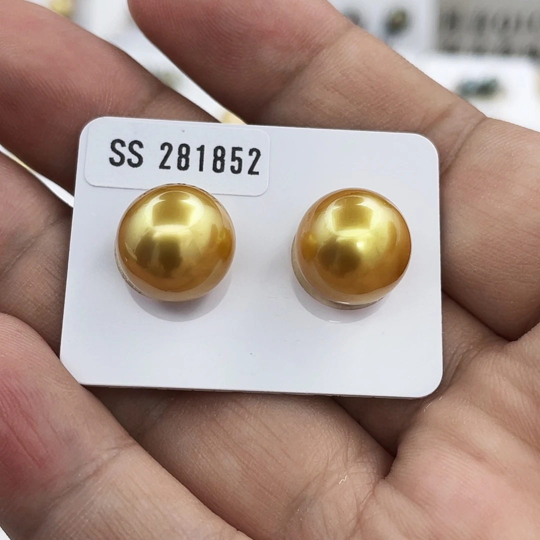 未镶嵌耳饰海水珍珠真科研大证SS茶金12.2mm
