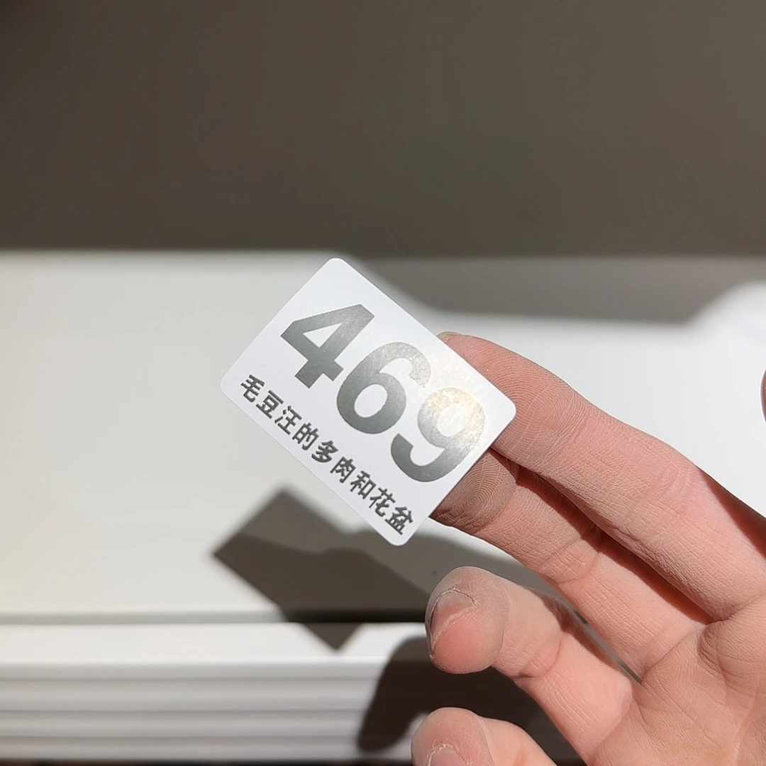 469 随机6 个瑕疵花盆 no退no换