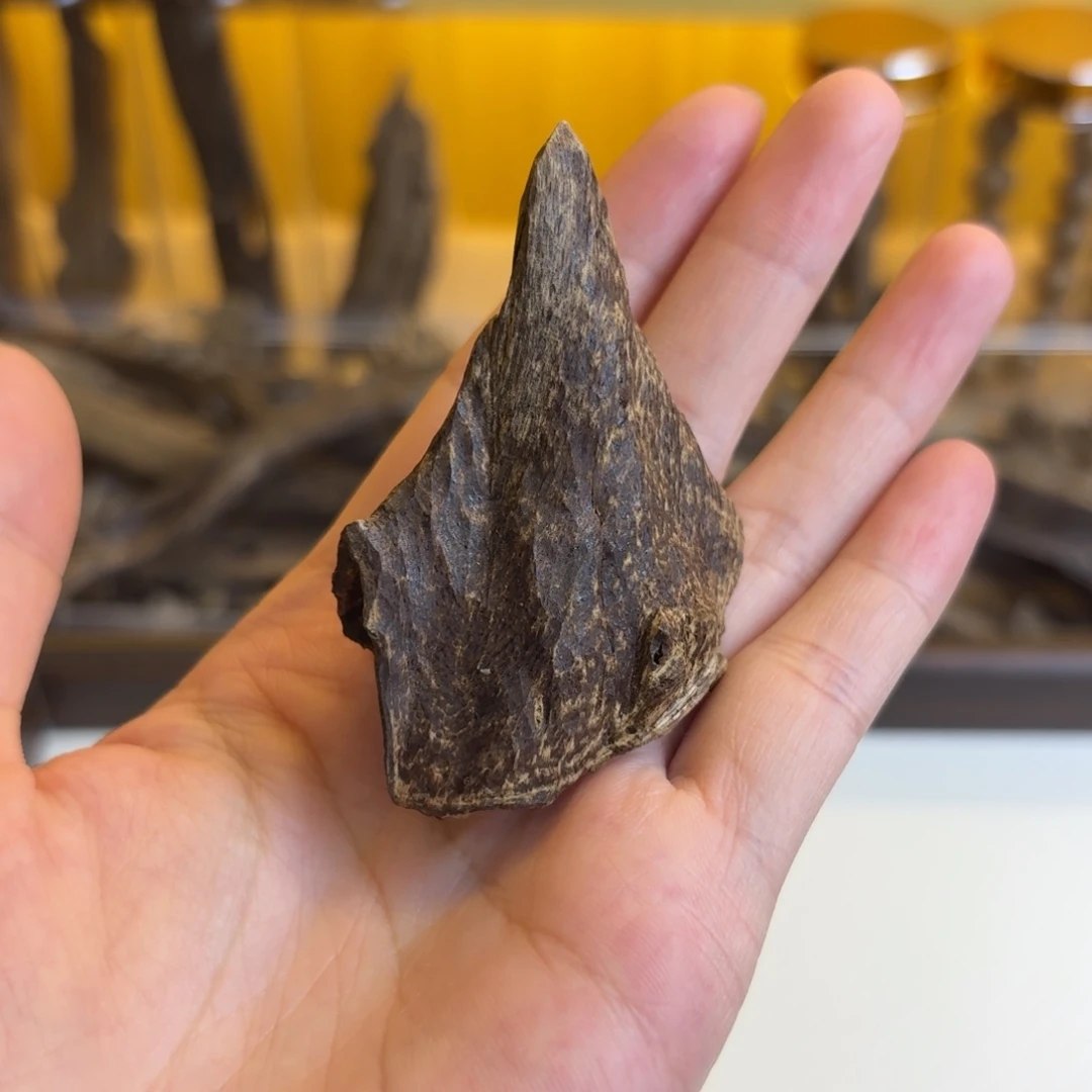 海南尖峰岭沉水壳子料4.2克