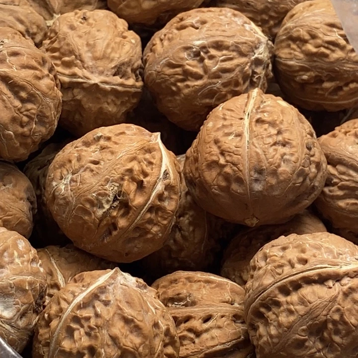 文玩核桃吊坠滔*东北22