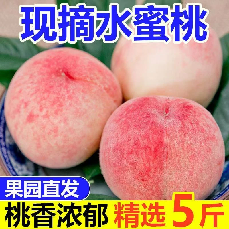 精品【凌晨采摘】5斤装高山水蜜桃现摘鲜甜多汁应季新鲜水果包邮