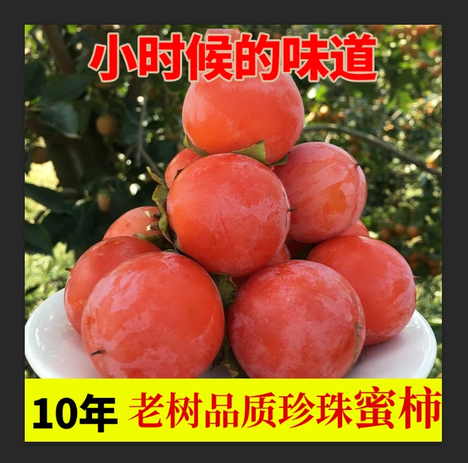 头茬应季新鲜现摘流心珍珠蜜柿玲珑小吊红软甜爆浆软柿子