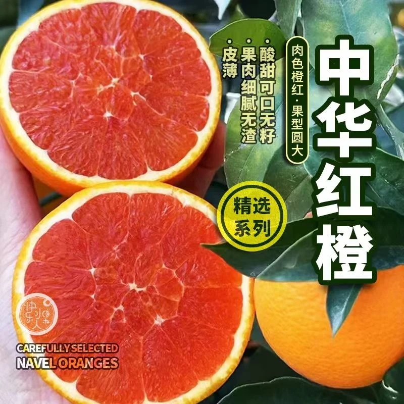 产地直发丨秭归脐橙中华红橙血橙5斤/9斤包邮现摘新鲜橙子