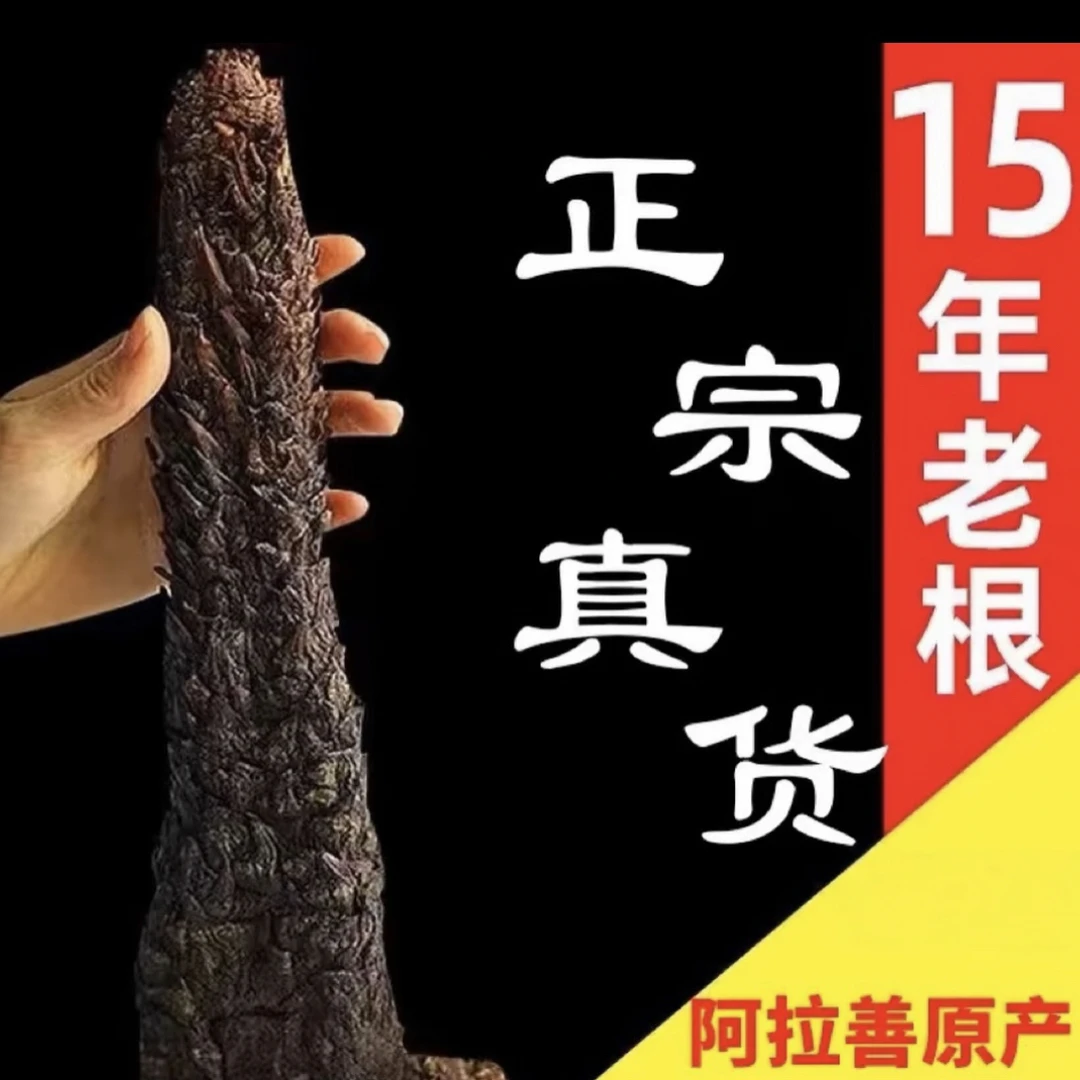 阿拉善沙漠黑龙参整根可用于泡酒泡水煮水煲汤佳品非丹参9