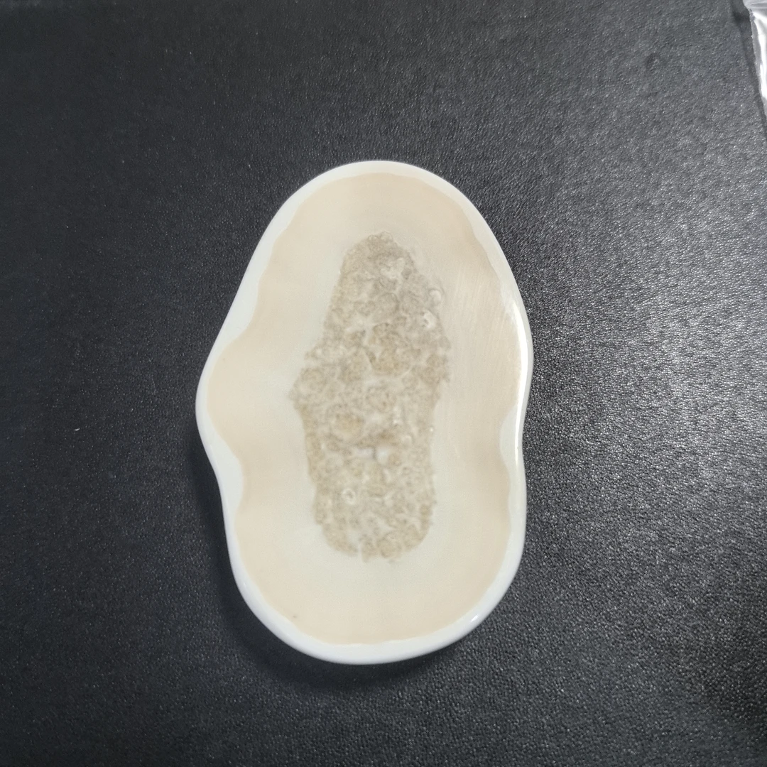 猛犸猛犸虬饼子WW994