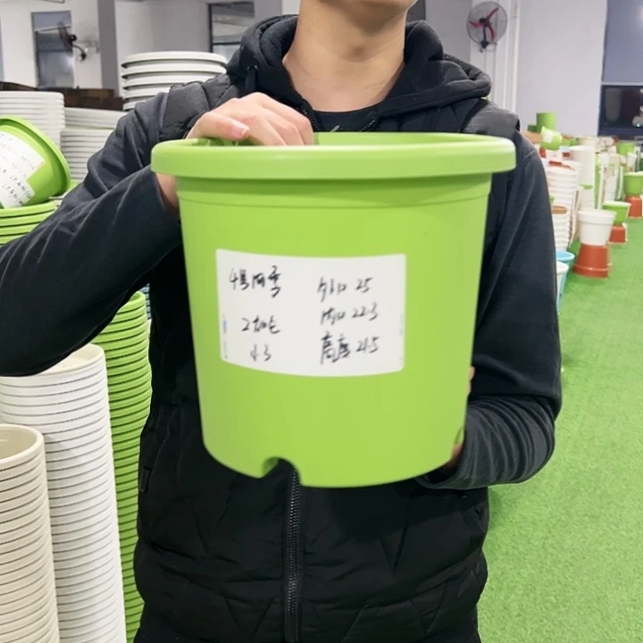 特价4号口25高21.5果绿色8只无托