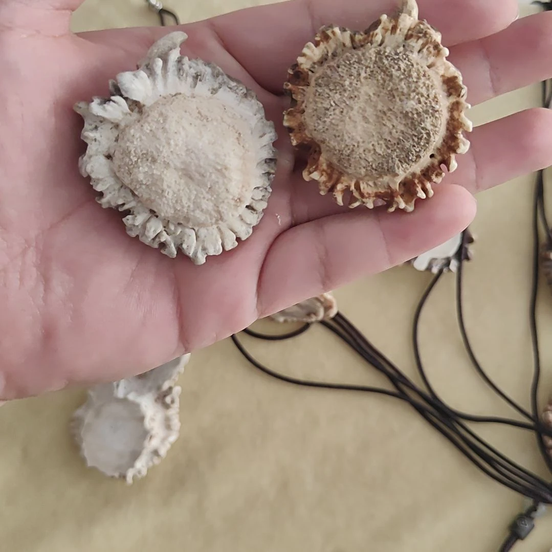 非金属鹿角角帽品相特别好