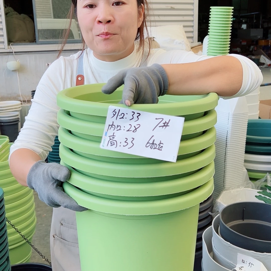 四季盆7#果绿色6个无托