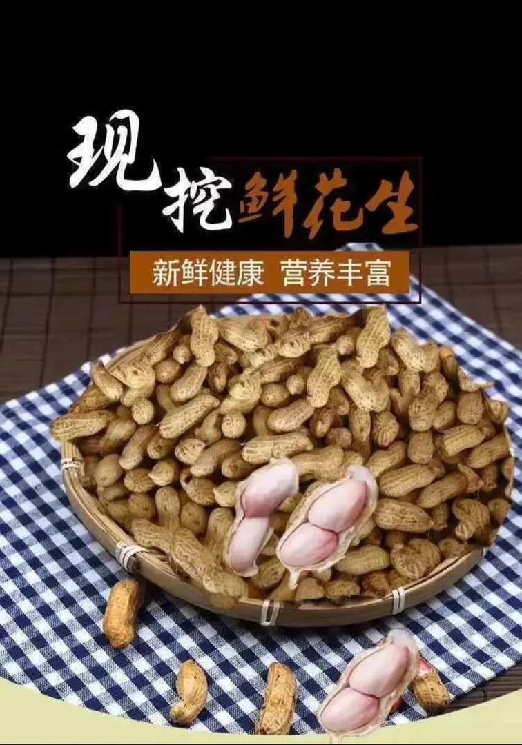 现挖带泥新鲜带壳花生可水煮生吃甘甜脆爽农家自种