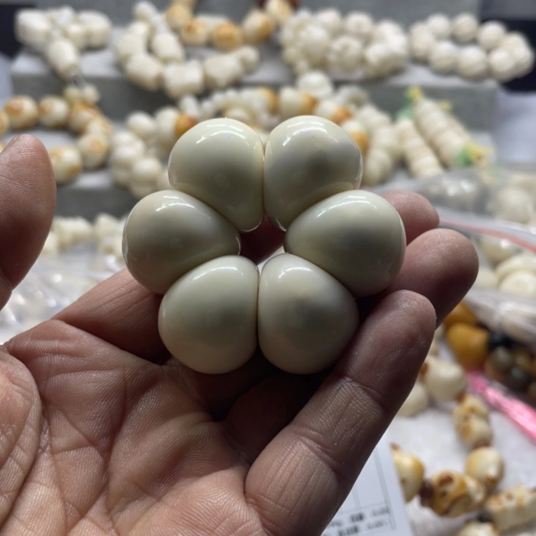 吊坠菩提根/象牙果全品象牙果蒜瓣手捻卡25