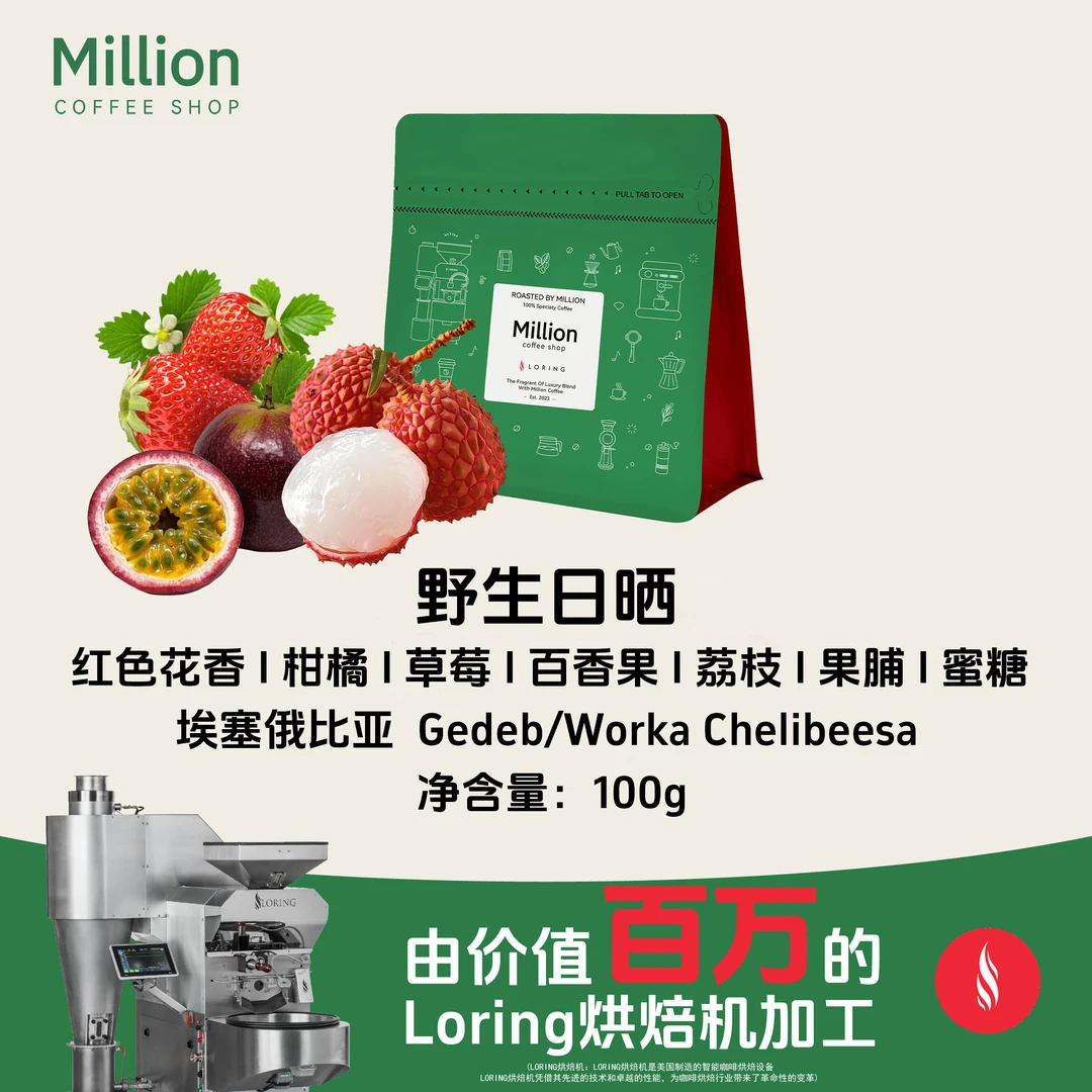 埃塞俄比亚 未人工干预野生林日晒 精品咖啡豆100g