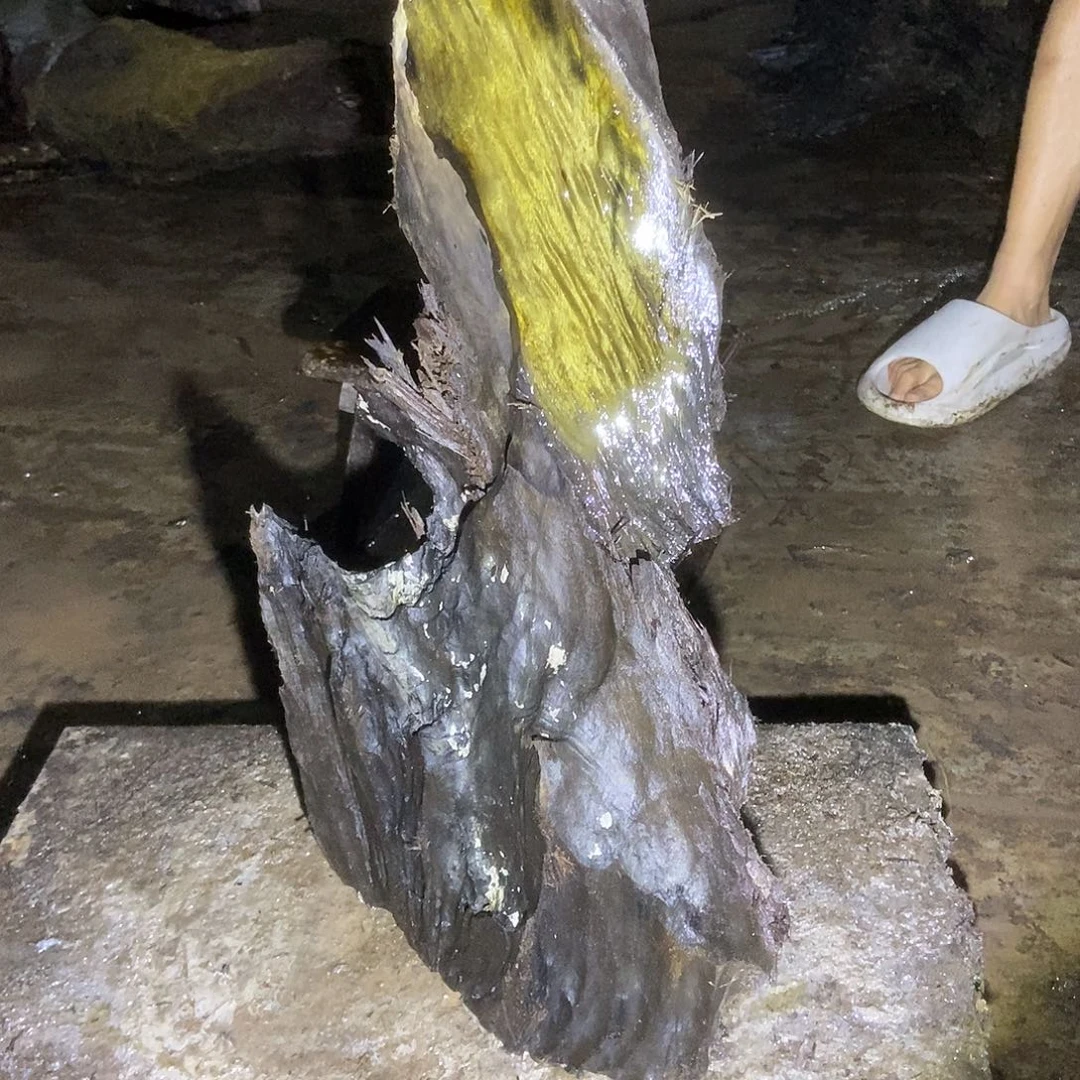 琢****学金丝楠阴沉木毛料