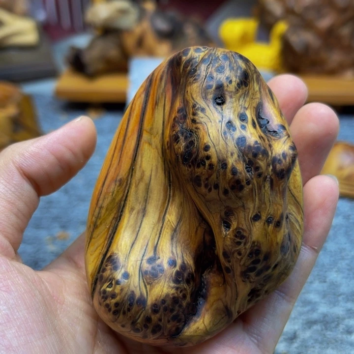 柏木（崖柏）崖柏148