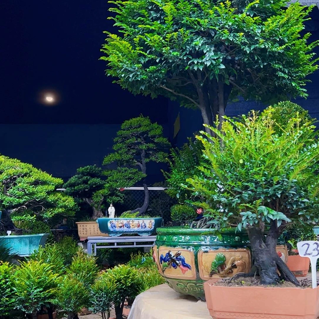 以实际为准H*12345678