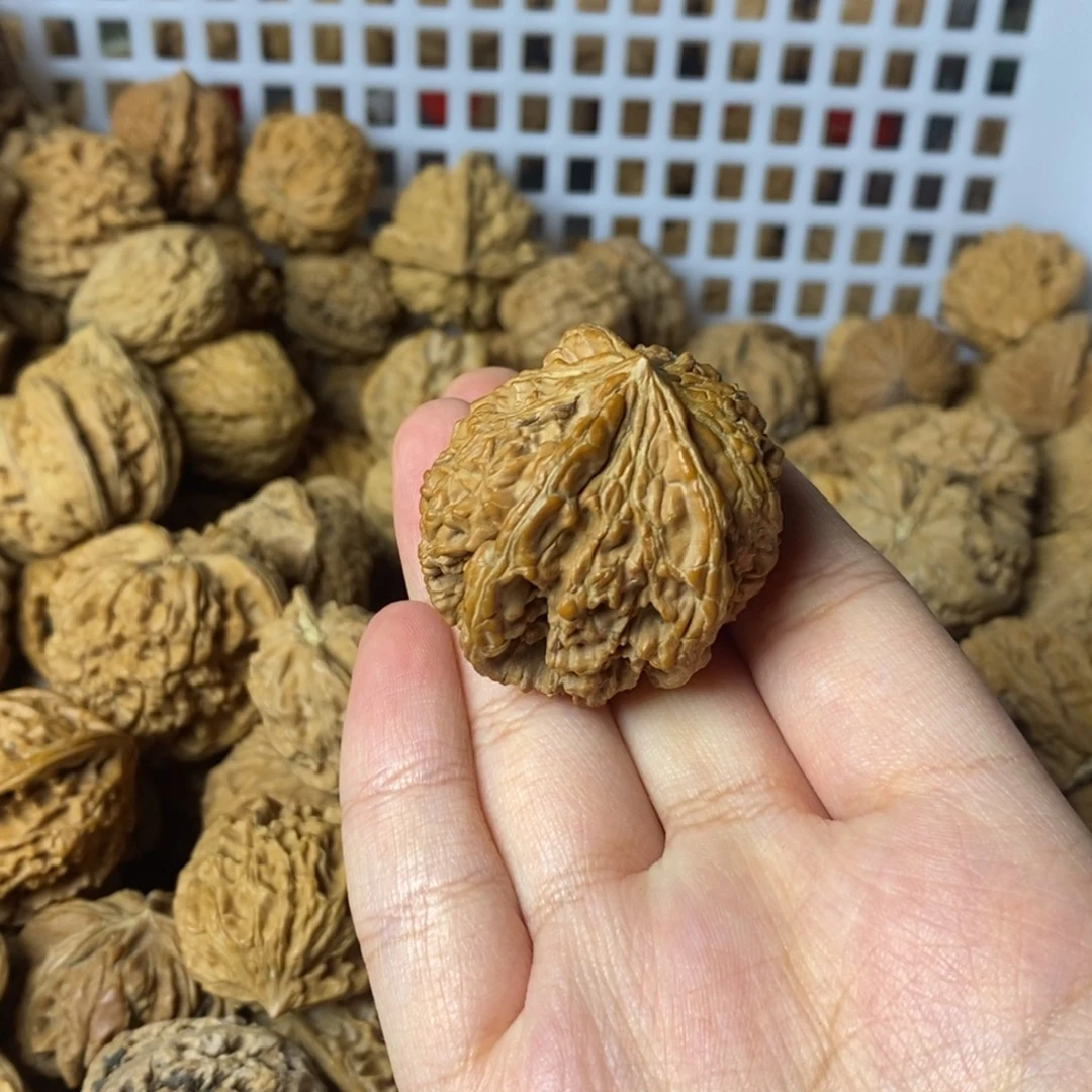 大***闪大叶紫檀（黑酸枝木类）