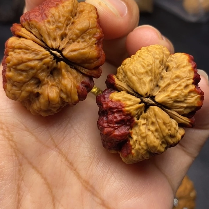 文玩核桃把件40尺蝴蝶蟾