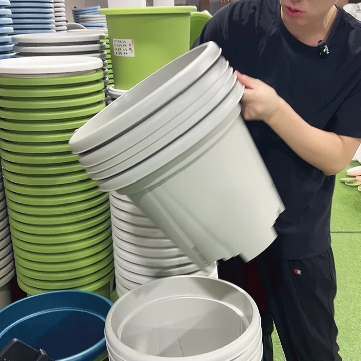 特价青山口40高34灰白无托5只