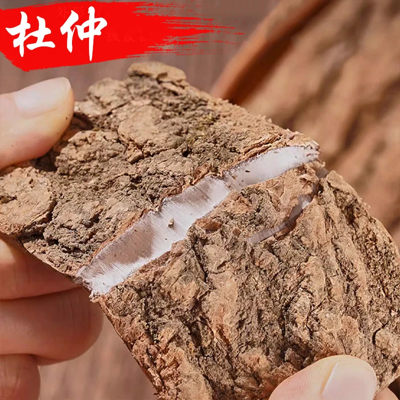 精选杜仲厚皮水洗去粗皮干净新鲜干货煲汤泡酒泡水喝无硫熏杜肿茶