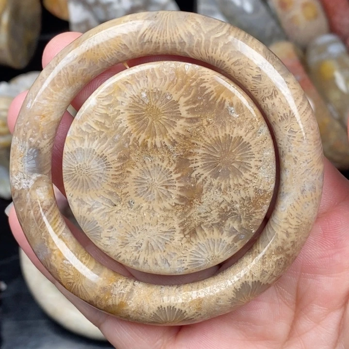 硅化玉未镶嵌颈饰