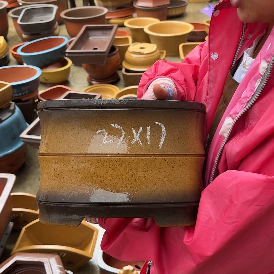 紫砂花盆盆景艺术