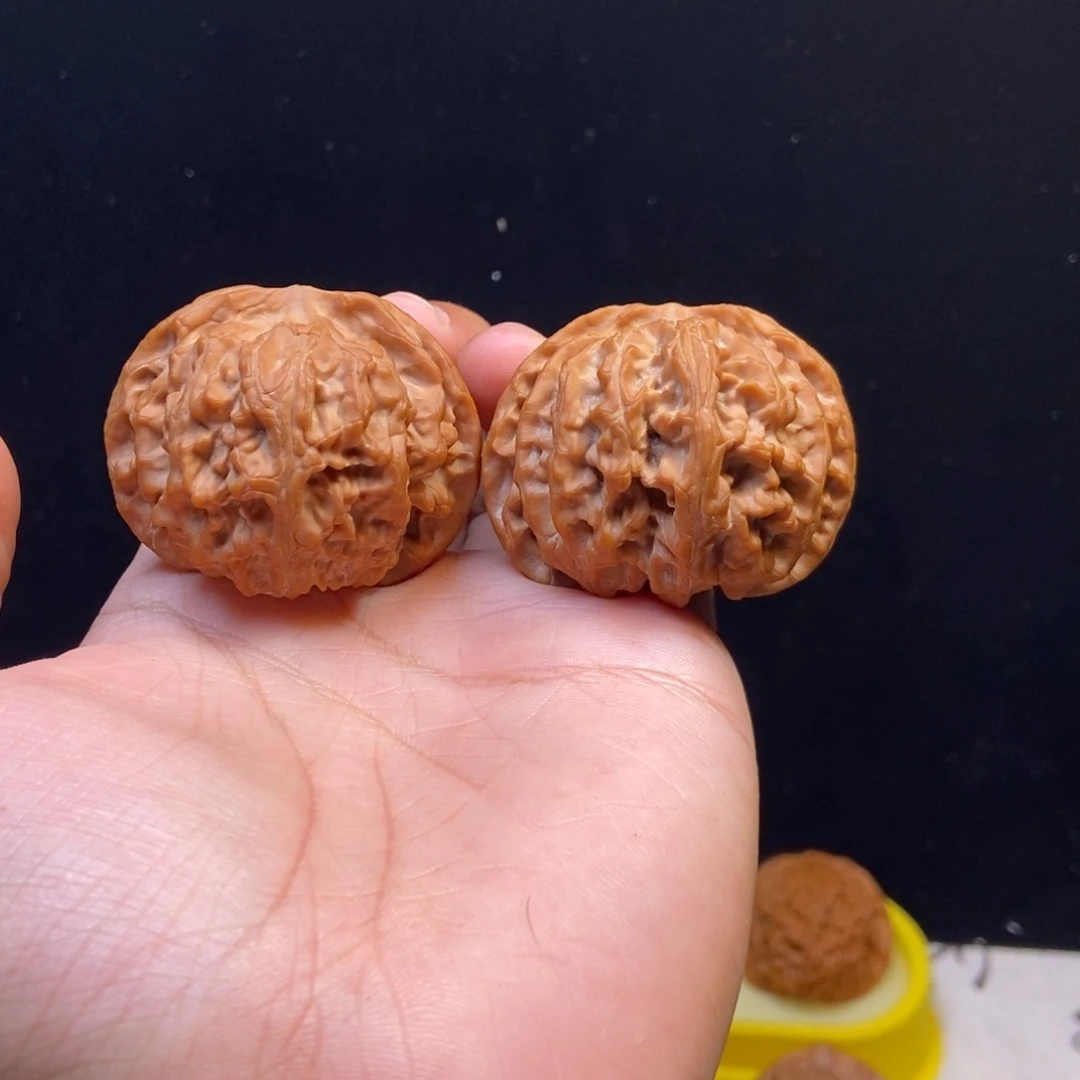 45尺全品苹果园白茬