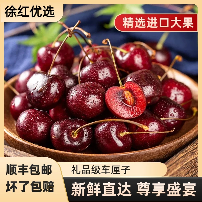 智利波版海运车厘子 科迪亚J五斤 内附果径卡
