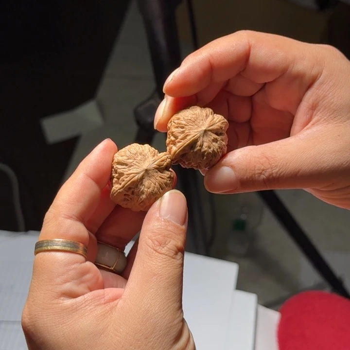 文玩核桃把件626号全品铁锤妹妹35mm以下