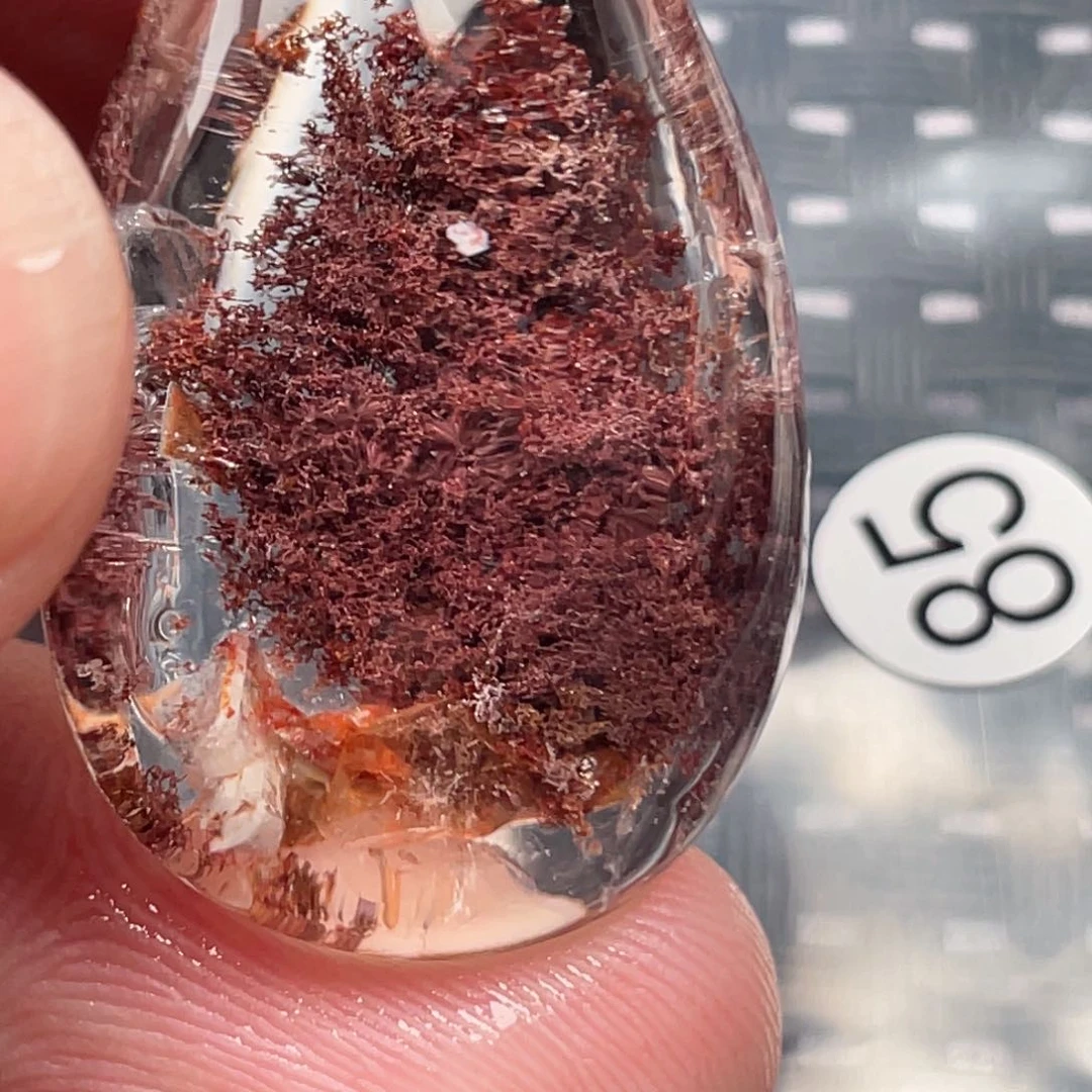 【闪购商品】颈饰未镶嵌水晶?****兒