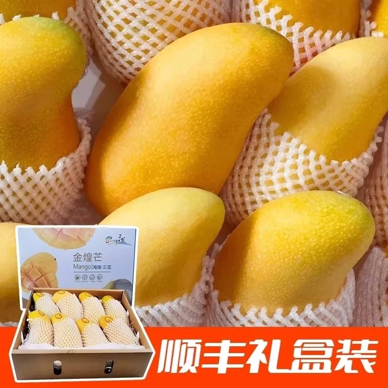 即食免催熟【多仓发货】海南三亚树上熟海南金煌芒水仙香甜多汁水果