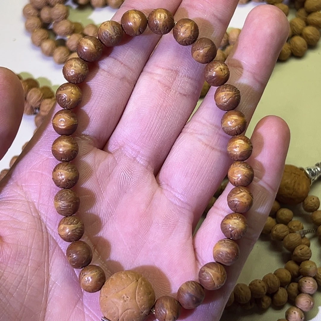 小***菊酸枣核凤眼原皮精修