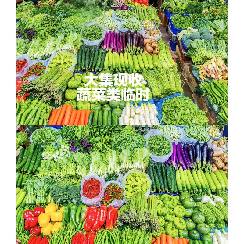 临时7 云南牛腱子菜蔬菜