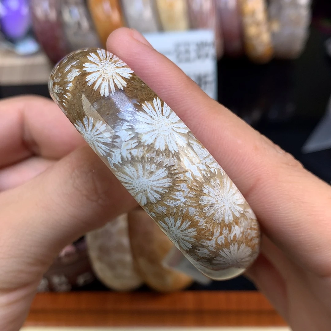 【闪购商品】颈饰未镶嵌硅化珊瑚（珊瑚玉）85号赞比大花54圈