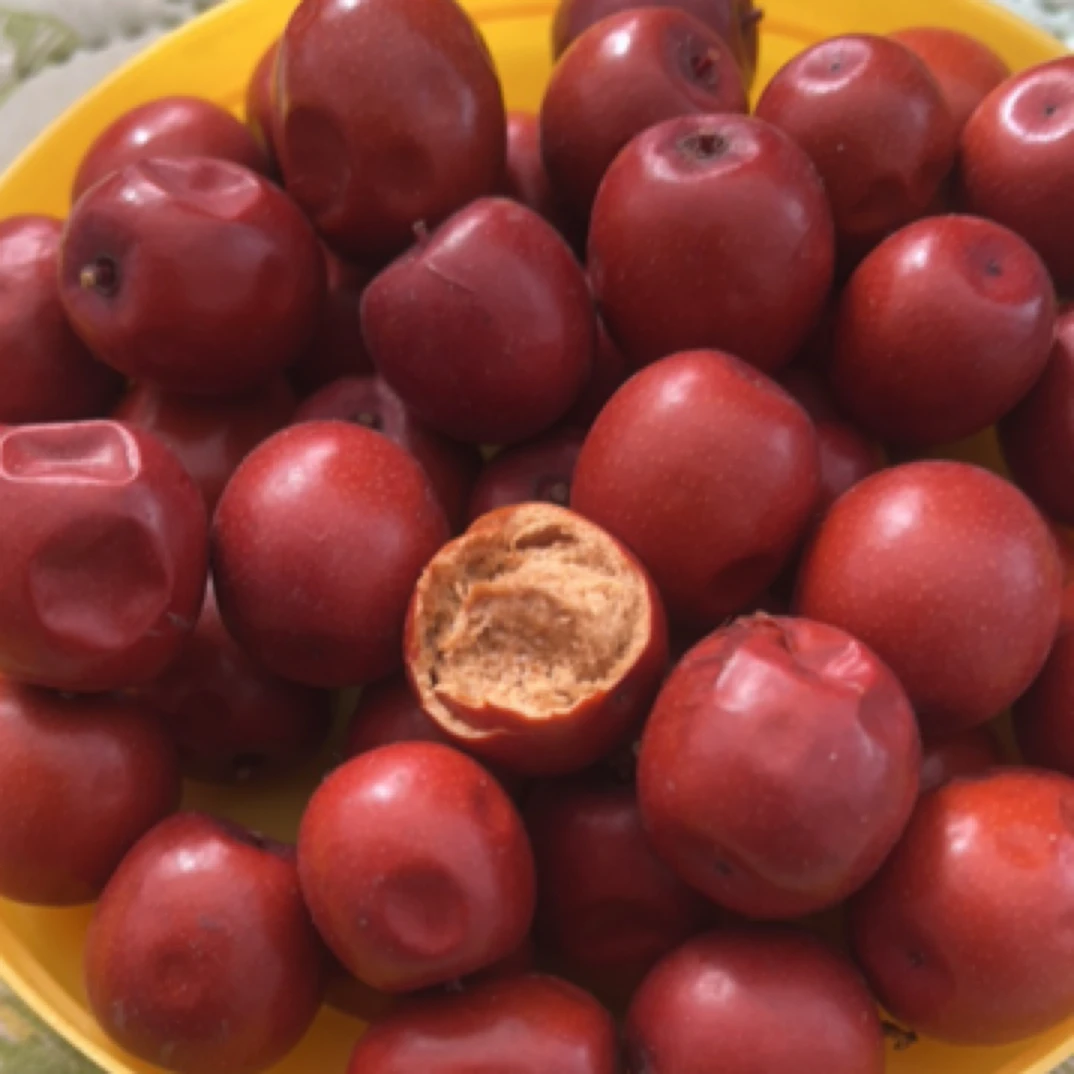 食用野生酸枣中号