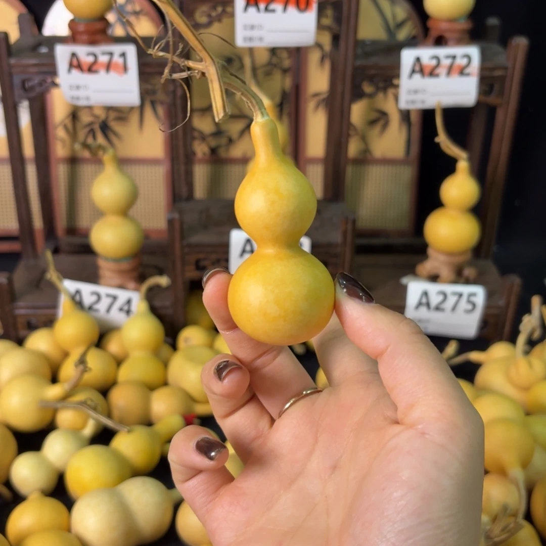 ****晴我也不知道我为什么
