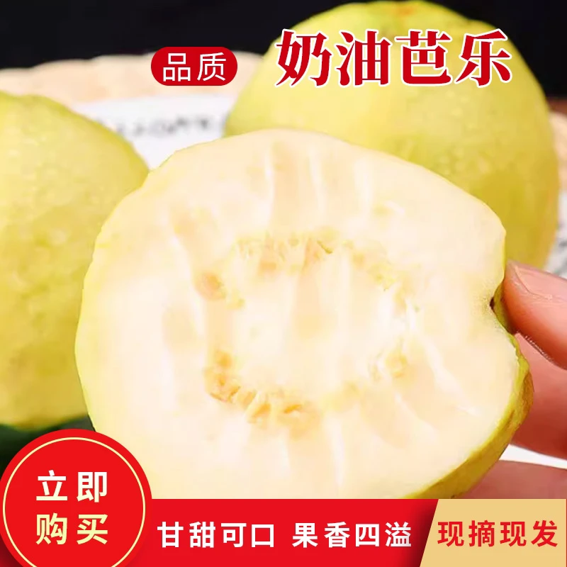 原农荟【中秋福利】软糯白心芭乐番石榴低糖低卡低脂（顺丰）