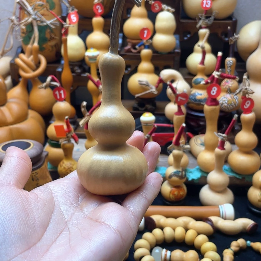 ꧁****꧂大自然的秘密第十一节我的