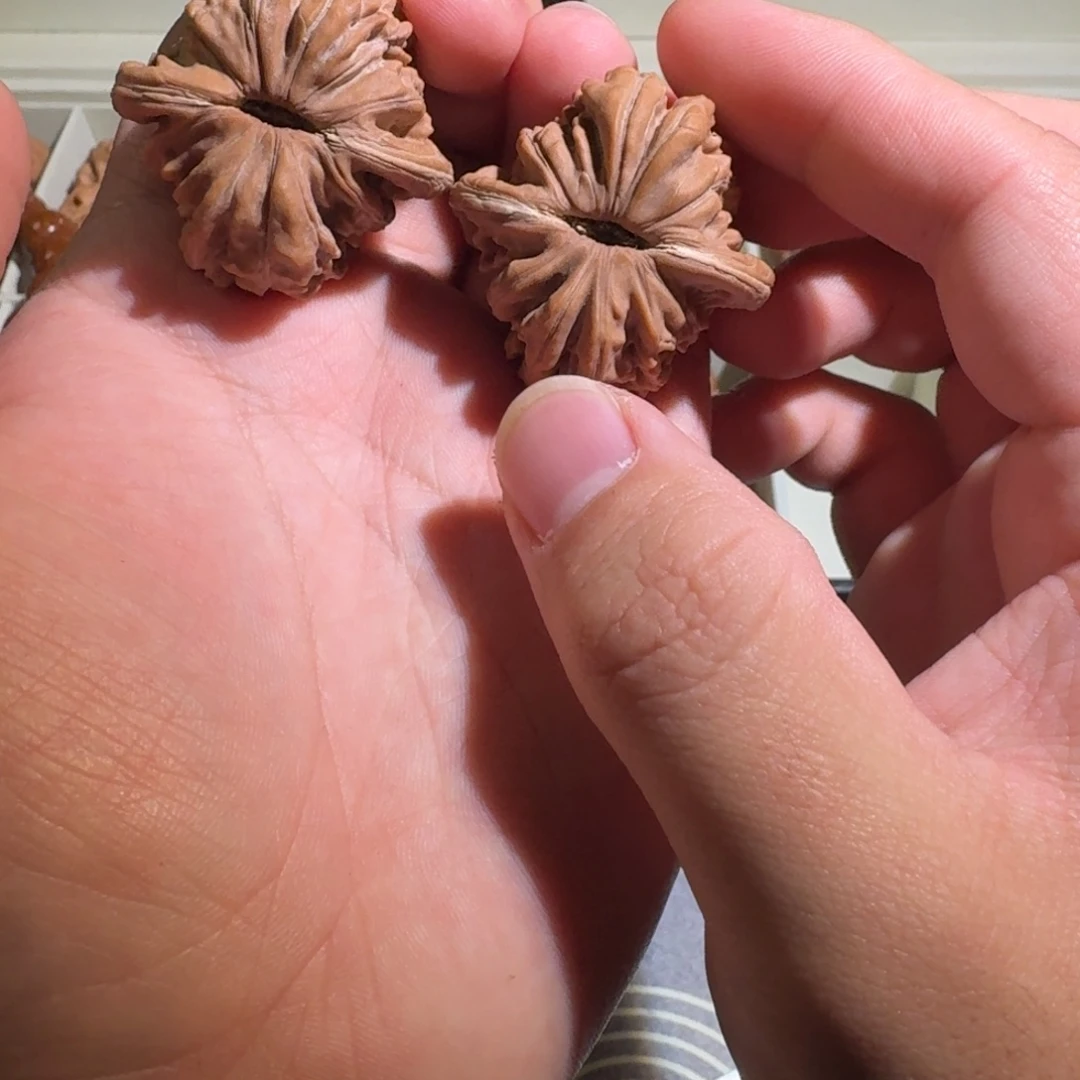 大叶紫檀（黑酸枝木类）