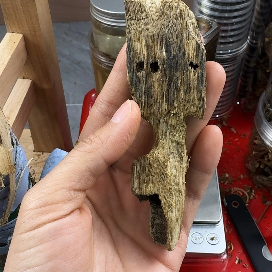 香料绿奇楠虫漏张勺子10克