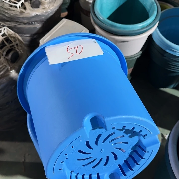 编号是50号的50号的