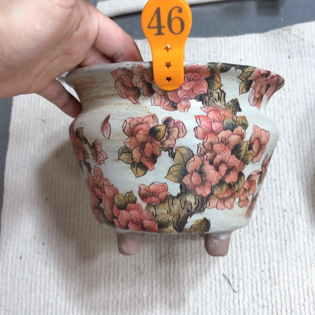 春***开紫砂花盆陶瓷多肉花盆精品
