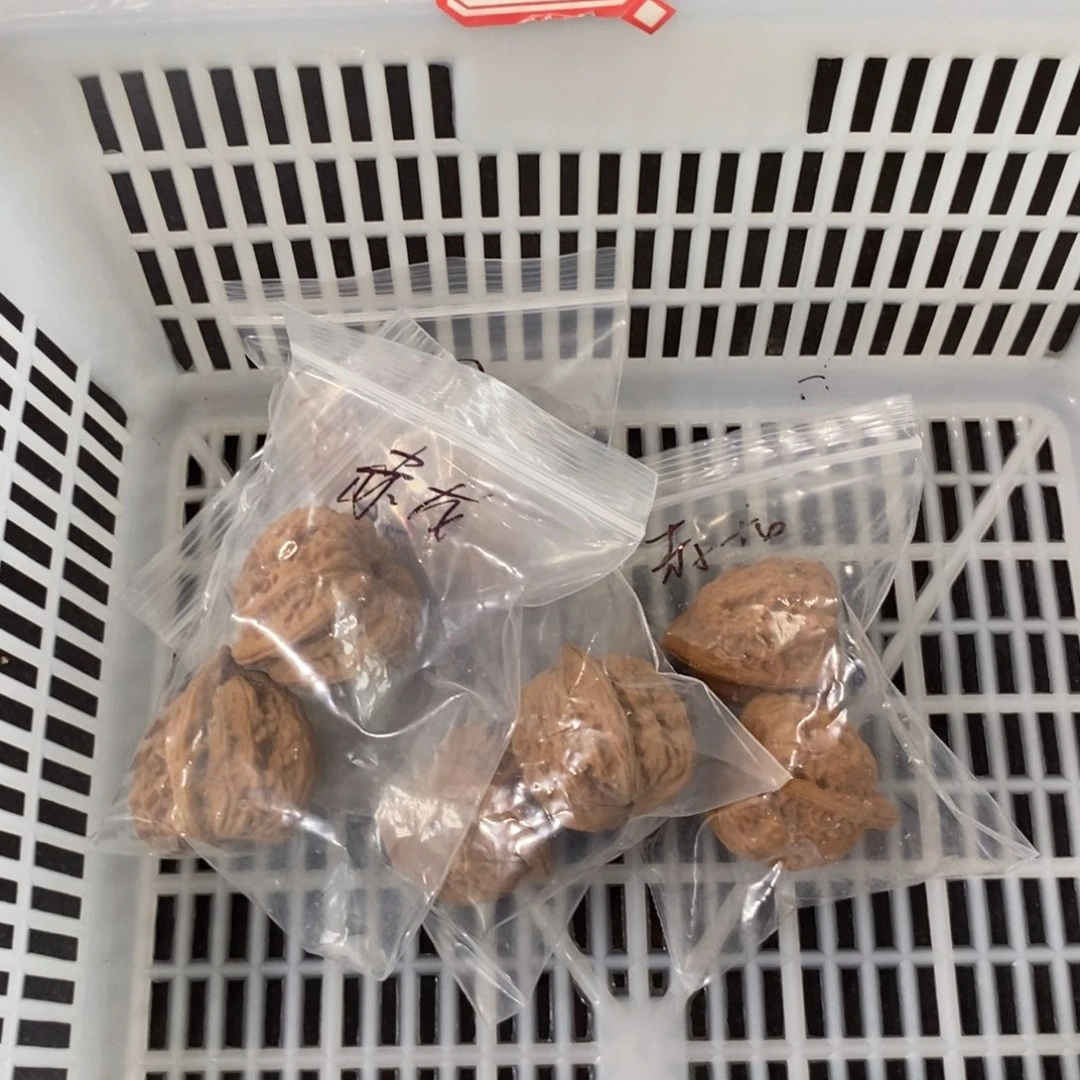 文玩核桃吊坠赤龙团购