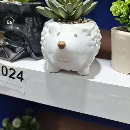 微瑕陶瓷盆12包邮