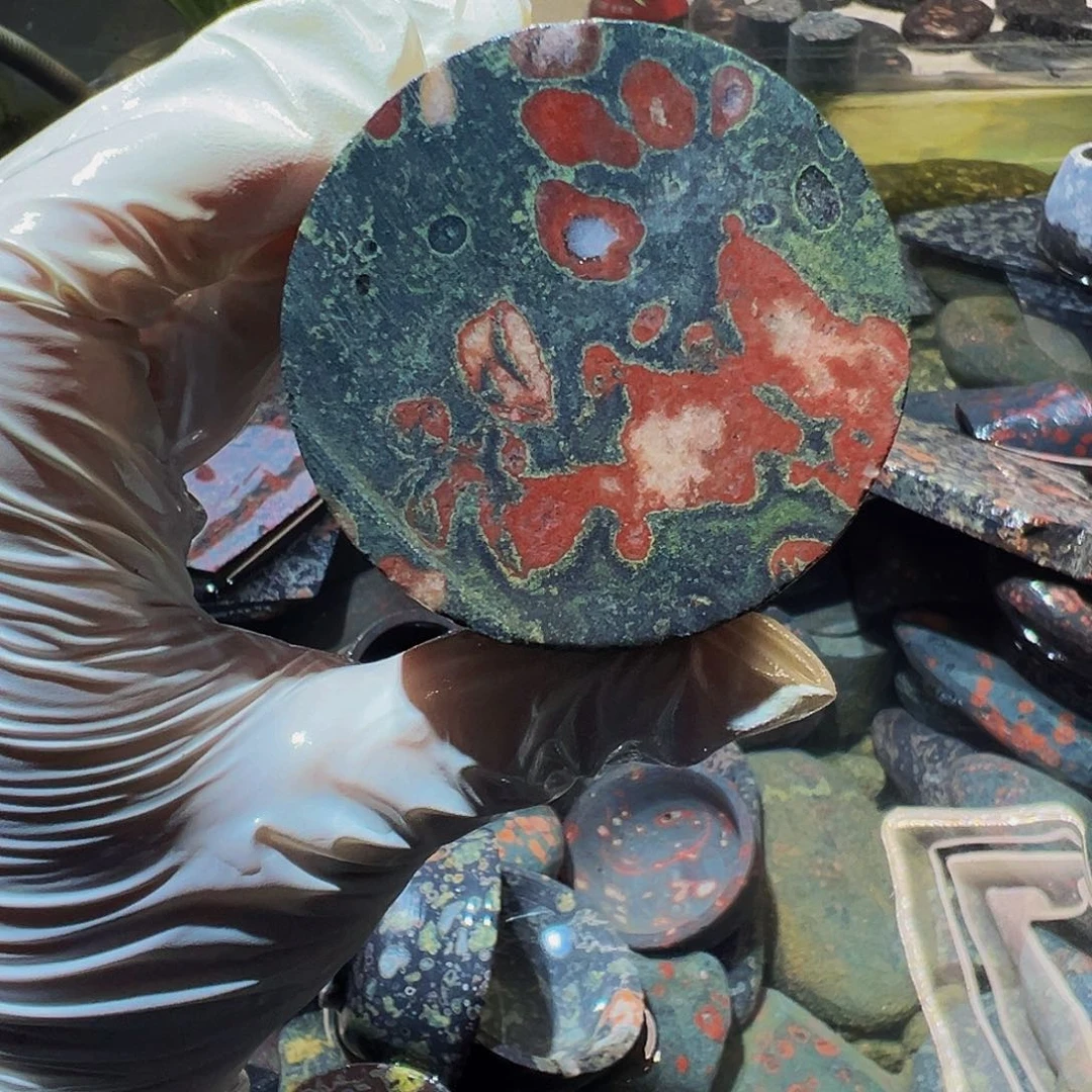 梅花玉鱼缸石茶周边不退不换